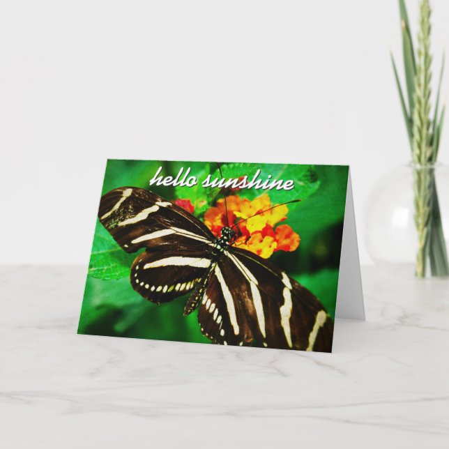 Carte Bouton Blancs Noir Bonjour Sunshine Script (Devant)