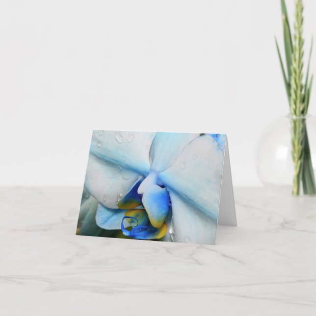 Carte Boutons sur l'orchidée bleue (Devant)