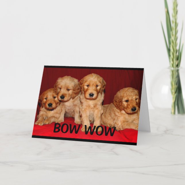 Carte Bow Wow Wow Vous êtes une tante extraordinaire Fêt (Devant)