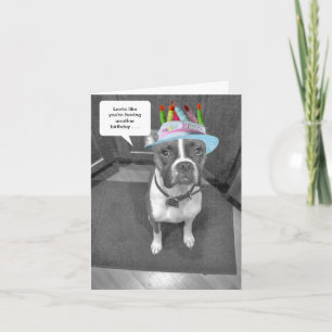 Carte Boxer Casquette d'anniversaire