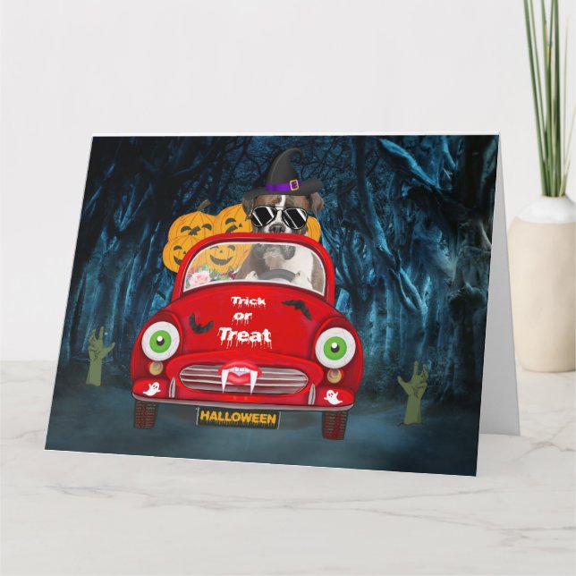 Carte Boxer Chien Conduite Voiture Effrayant Halloween (Devant)
