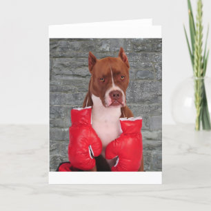 Carte Boxer Pitbull