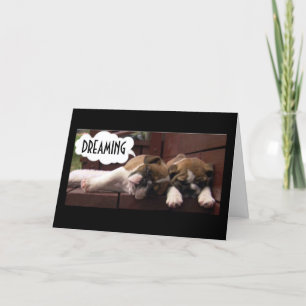 CARTE BOXER PUPS VOUS SOUHAITE * LE MEILLEUR ANNIVERSAIR