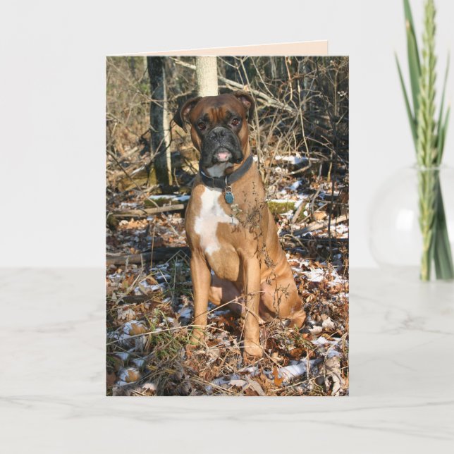 Carte Boxer Woods Walk (Devant)