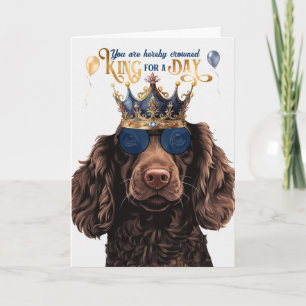 Carte Boykin Spaniel Chien King pour jour drôle Annivers