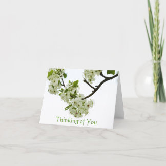 Carte Branche de l'arbre à poires Penser à vous, blanc i