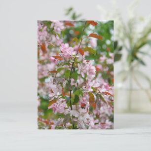 Carte Branche délicate avec fleurs pommier