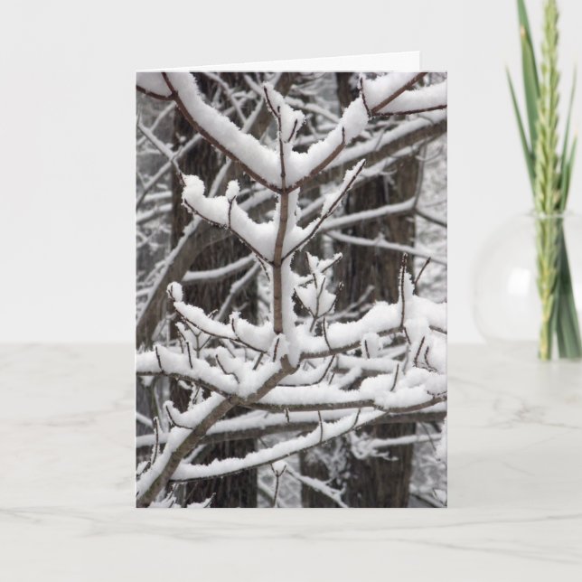 Carte Branches couvertes de neige (Devant)