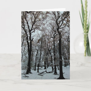 Carte Branches et arbres