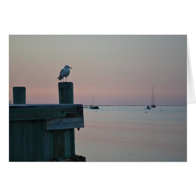 Carte Brant Point (Devant horizontal)