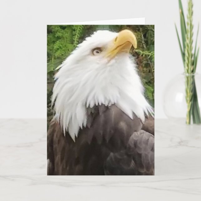 Carte Brave Eagle Greeting Card (Devant)