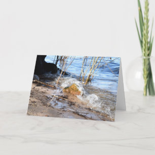 Carte Breakers, Beachlife