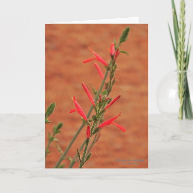 Carte Bright Red Desert Fleurs sauvages Hummingbird Bush (Devant)