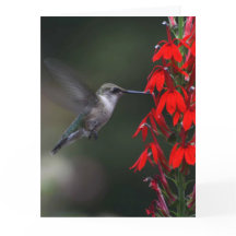 Brighten someone's day with this lovely card !!