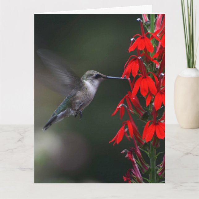 Carte Brighten someone's day with this lovely card !! (Devant)