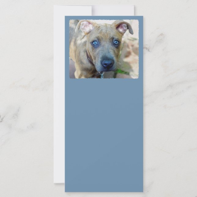 Carte Brindle Pit Bull Puppy par Shirley Taylor (Devant)