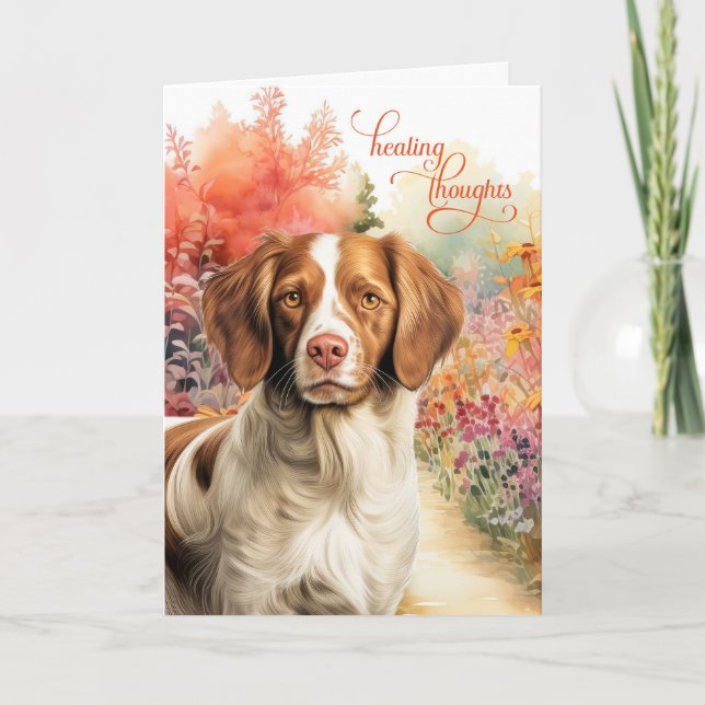 Carte Brittany Spaniel Dog Colorful Garden Path Get Well (Devant)