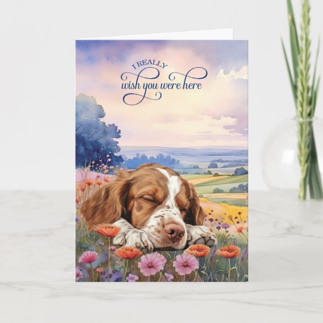Carte Brittany Spaniel Dog Wildflowers Miss You (Devant)