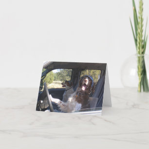 CARTE BRITTANYS DE DÉPLACEMENT