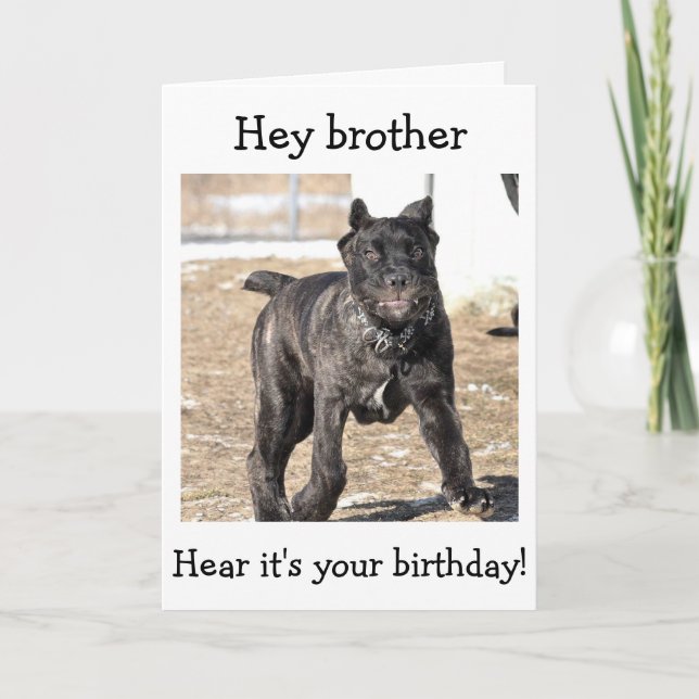 CARTE BROTHER-ITALIAN CANE CORSO (Devant)