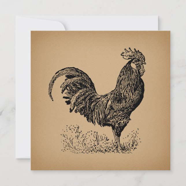 Carte Brown Antique Rooster Illustration Chicken Art (Devant)