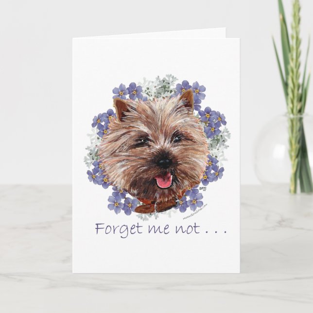 Carte Brown Cairn Terrier Oubliez-moi-ne-pas (Devant)