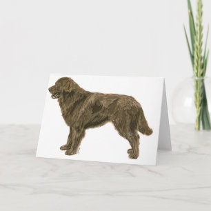 Carte Brown de chien de Terre-Neuve