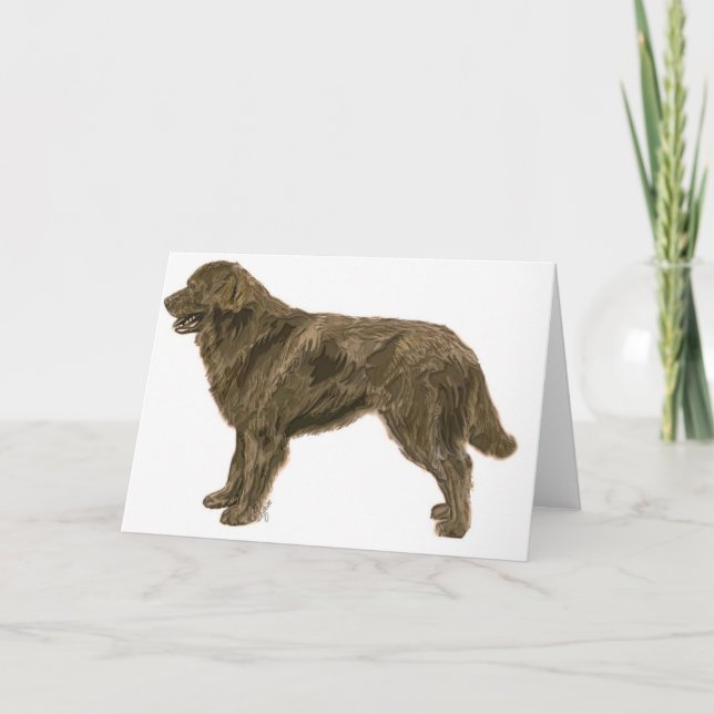 Carte Brown de chien de Terre-Neuve (Devant)