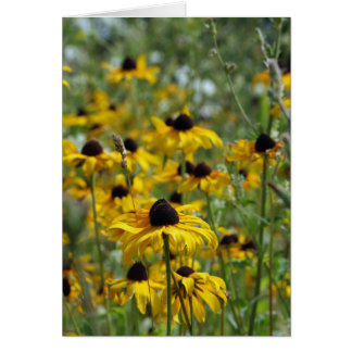 Carte Brown Eyed Susan