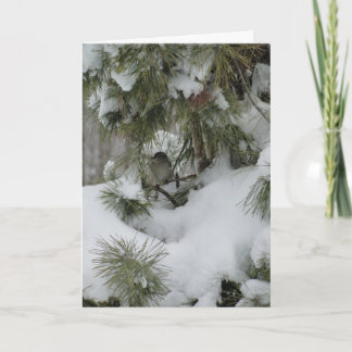 Carte Bruant Dans À feuillage persistant Neige