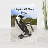 Bruce Happy Birthday African Penguins Humour Card