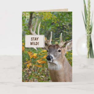Carte Buck cerf en bois anniversaire