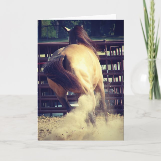 Carte Buckskin déclenche la poussière toutes les occasio (Devant)