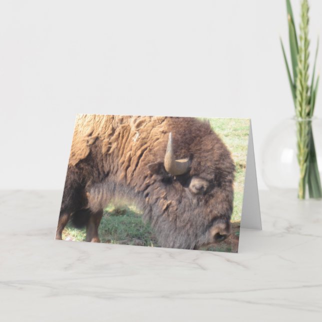 Carte Buffalo (Devant)