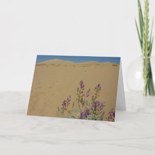 Carte Buisson d'indigo du Mojave et dunes de Kelso