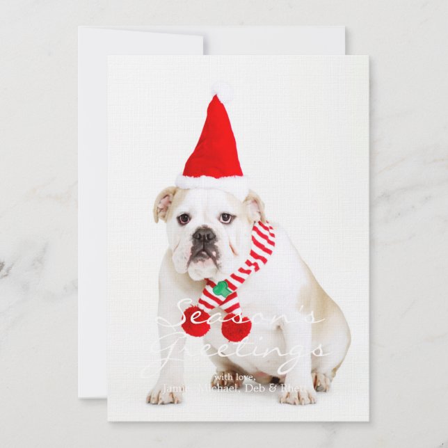 Carte Bull Dog Elf (Devant)