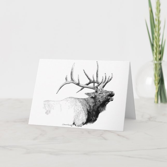 Carte Bull Elk (Devant)