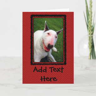 Carte Bull-terrier anglais