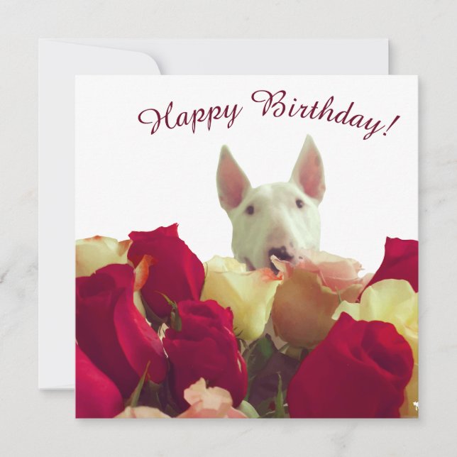Carte Bull terrier avec rose - Joyeux anniversaire! (Devant)