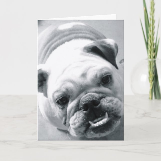 Carte Bulldog anglais (Devant)