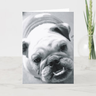 Carte Bulldog anglais
