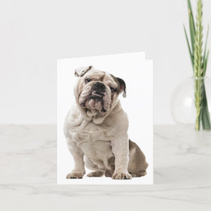 Carte Bulldog Chien Chien Chien Amoureux, Bonjour Penser