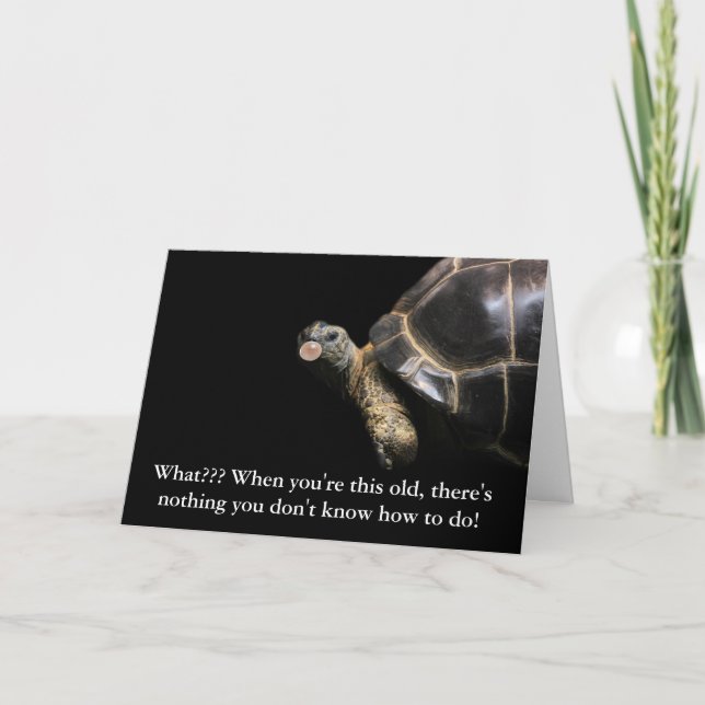 Carte Bulle de tortue (Devant)