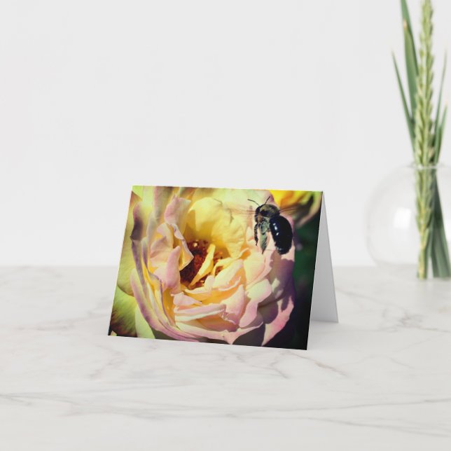 Carte Bumble Bee Et Rose Flower Note (Devant)