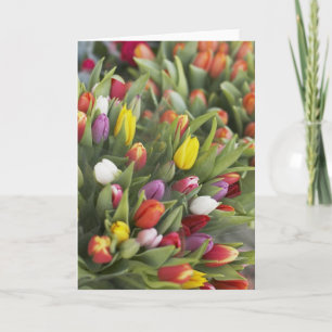 Carte Bunches of colorful tulips