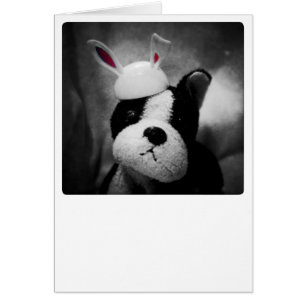 Carte Bunny