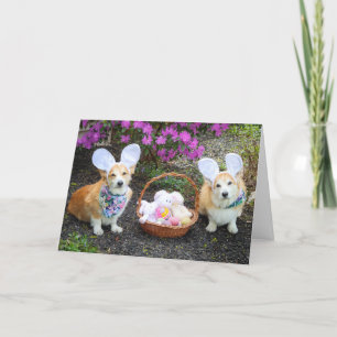 Carte Bunny Corgis de Pâques