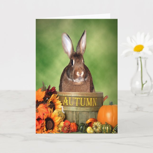 Carte Bunny d'Halloween assis dans un panier en bois d'a (Petite plante)