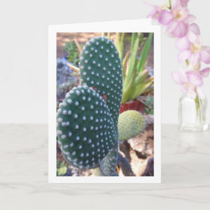 Carte Bunny Ears Cactus Plante