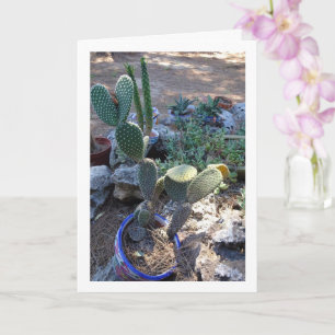 Carte Bunny Ears Cactus Plante